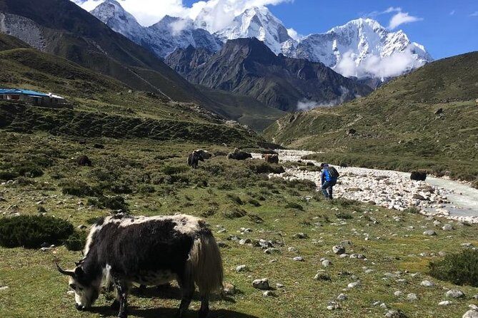 Everest Base Camp Helicopter Tour landing at Everest View Hotel. - Everest View Hotel breakfast break: why this landing is more than a souvenir stop