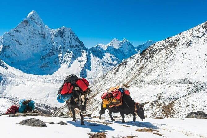 Everest Base Camp Trek - 14 Days - Day 7 acclimatization hike to Nangkartshang Peak: earning altitude the smart way