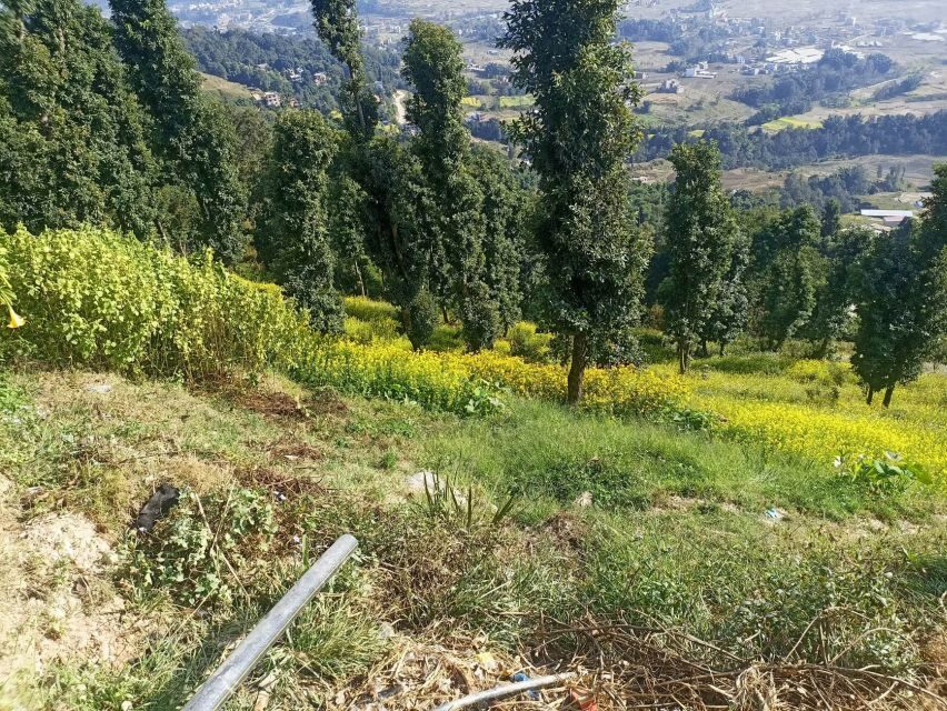 From Kathmandu: Nagarkot Hike with Mount Everest View - Guides Make the Day: Why Shekhar and Sagar Keep Appearing