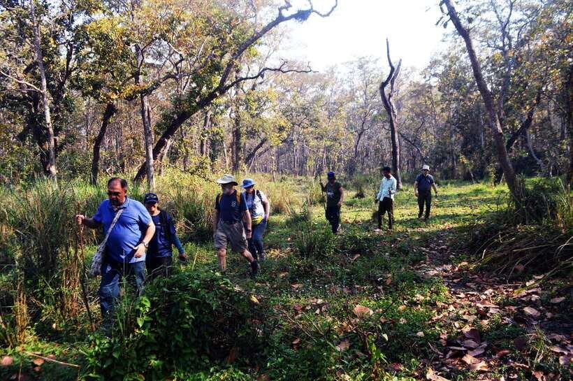 From Kathmandu/Pokhara: 2, 3, or 4-Day Chitwan Jungle Safari - Key Things That Make This Chitwan Safari Worth Your Time