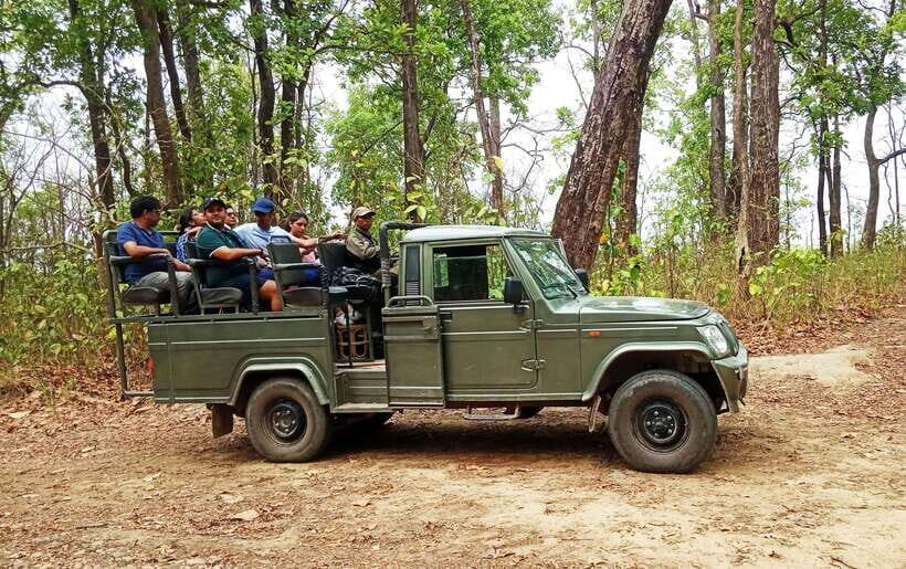 From Kathmandu/Pokhara: 2, 3, or 4-Day Chitwan Jungle Safari - Bird Watching, Jungle Walk, and the Rapti River Canoe Ride