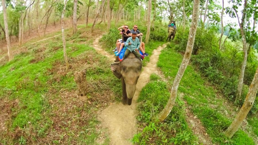 From Kathmandu/Pokhara: 3-Day All-Inclusive Chitwan Safari - Key highlights I’d circle on your trip planner