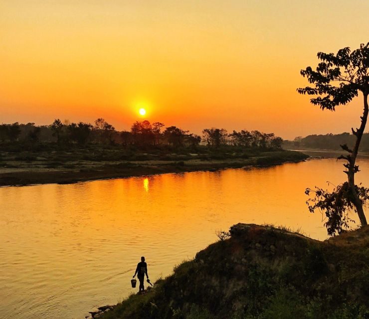 From Kathmandu/Pokhara: 3-Day All-Inclusive Chitwan Safari - Day 1 in Sauraha: Tharu culture, hotel time, and that first dance night