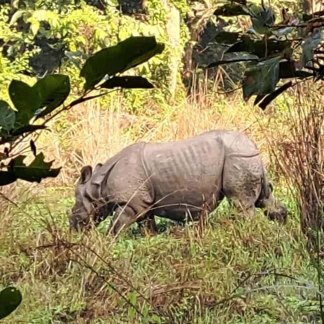 From Kathmandu/Pokhara: 3 Days All-Inclusive Chitwan Safari - Getting From Kathmandu or Pokhara to Chitwan Without Losing a Day
