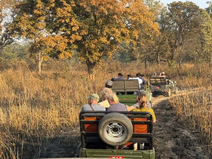 From Kathmandu/Pokhara: 3 Days All-Inclusive Chitwan Safari - Guide Quality and Pacing: Where the Experience Gets Its Personality