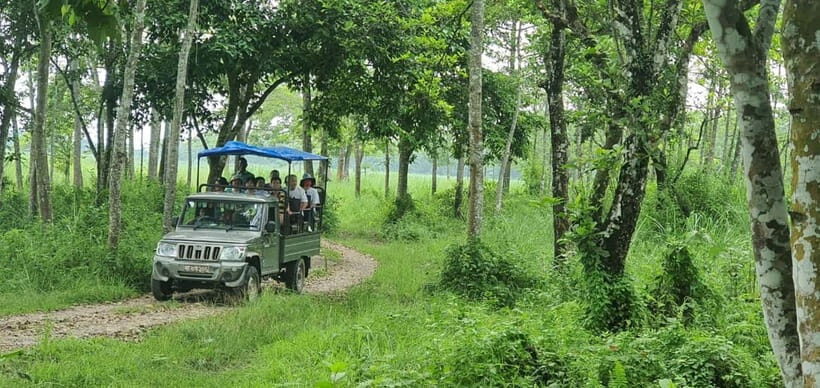 From Kathmandu/Pokhara: 3 Days All-Inclusive Chitwan Safari - Price and Value: Is $157 a Smart Deal for Three Days in Chitwan?