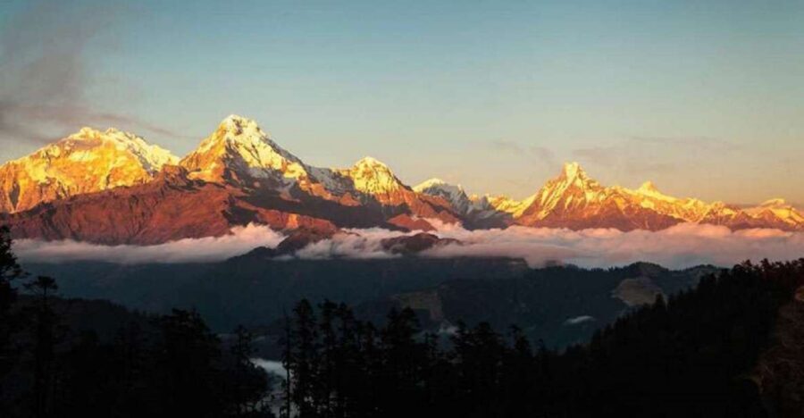 From Pokhara: 5-Day Annapurna Basecamp Trek with Hot Springs - Day 2: Chomrong to Deurali/Himalaya at ~2,900m through rhododendron and bamboo
