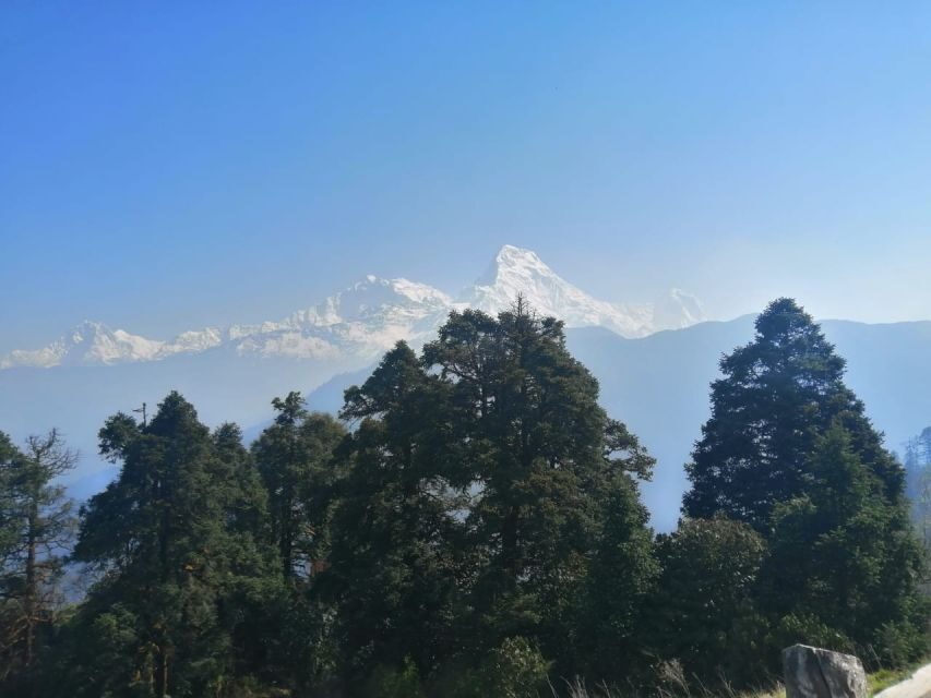From Pokhara: Budget 2 Night 3 days Poon hill trek - Teahouses, food, and comfort on a budget trek