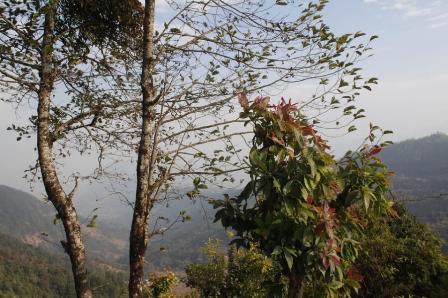 From Pokhara: Day Hiking Australian Camp & Dhampus - Australian Camp to Dhampus: rural paths with more human time