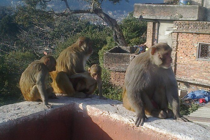 Full Day Kathmandu City Sightseeing Tour of UNESCO Heritage Sites - Group size and guide style: why the small team matters