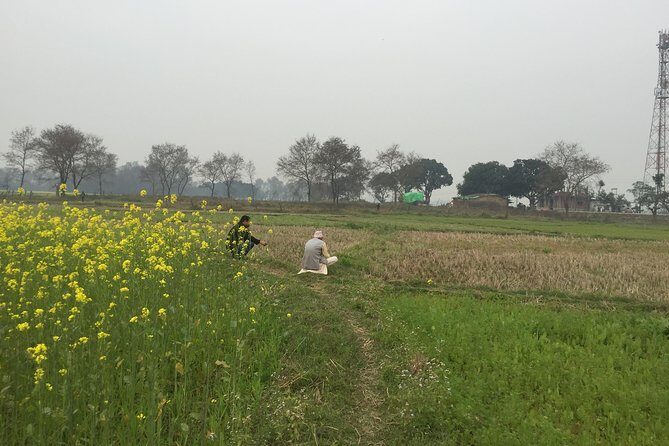 Full Day Lumbini Tour - Price vs Value: Is $65 per Person Fair for a Private Tour?