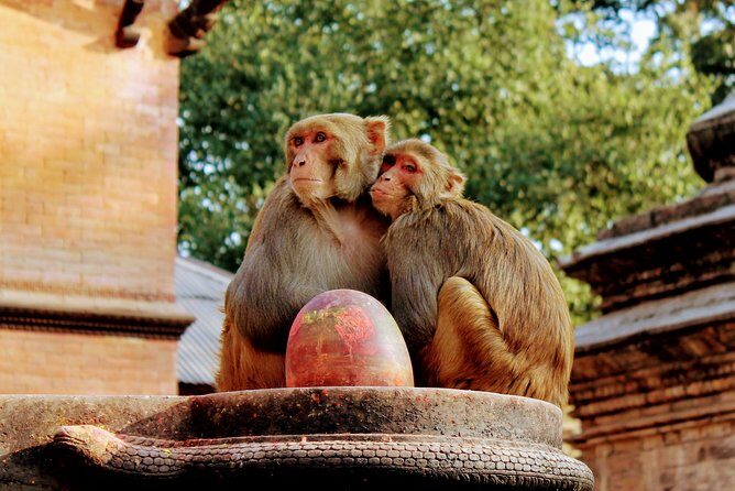 Full Day Private Tour of Kathmandu - UNESCO World Heritage Sites - Stop 1: Swayambhunath Monkey Temple and the Story in the Details