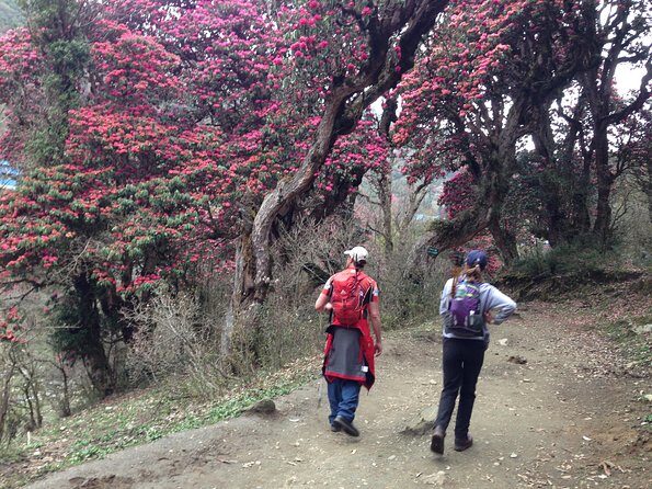 Ghorepani Poon Hill Trek - The guides: why named pros make a difference