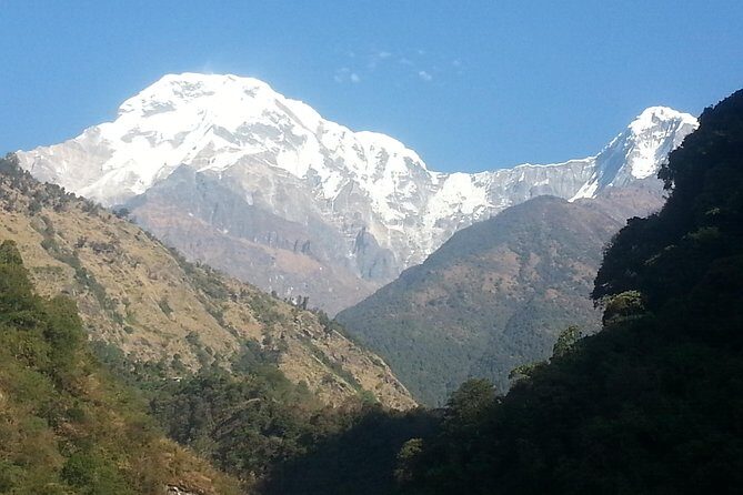 Ghorepani Poon Hill Trekking - Guides matter: Raman, Santosh, Suresh, Raj, and the comfort of a steady pace