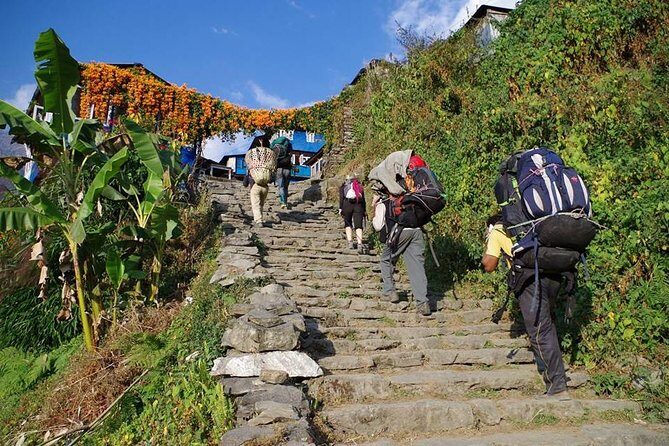 Ghorepani Poon Hill Trekking - Day 1 to Gorepani: Tikhedhunga stairs and your first taste of big views