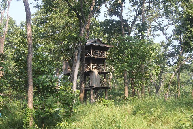 Jungle Towernight Stay In Chitwan National Park ,nepal-2 Nights 3 Days Package - Key Things That Make This Chitwan Tower Stay Worth It