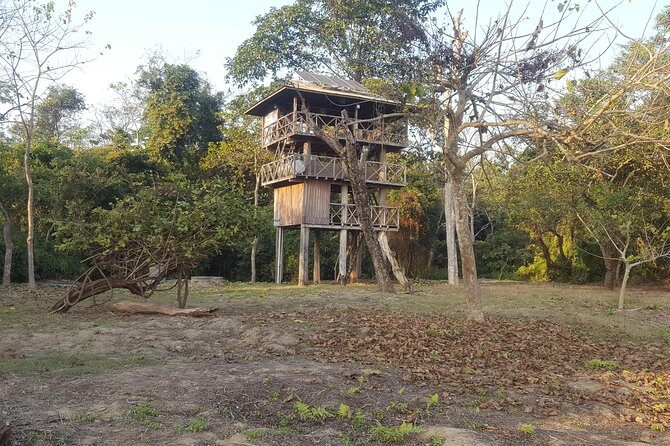 Jungle Towernight Stay In Chitwan National Park ,nepal-2 Nights 3 Days Package - Why Sleeping in a Jungle Tower in Chitwan Feels Different