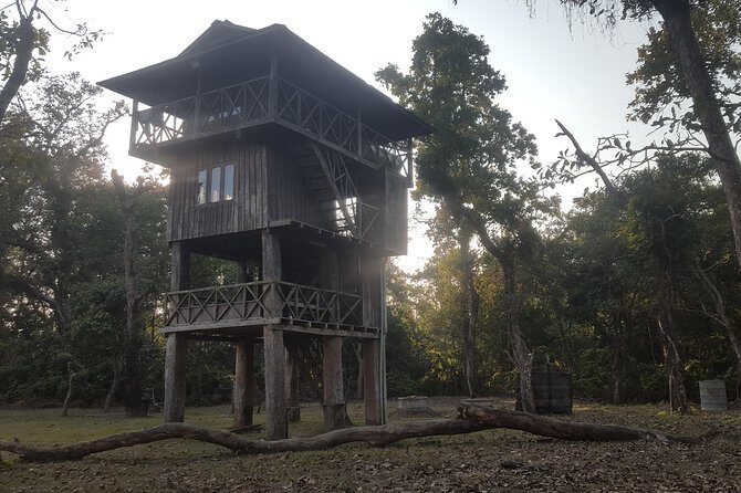 Jungle Towernight Stay In Chitwan National Park ,nepal-2 Nights 3 Days Package - Who Should Book This Chitwan Jungle Tower Stay