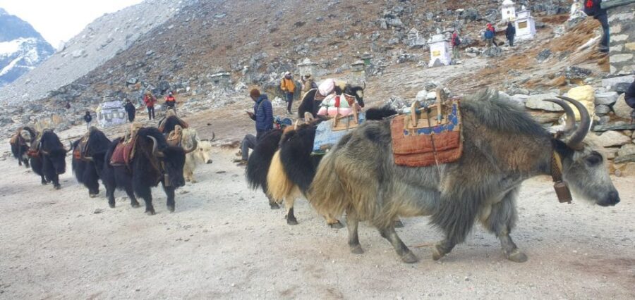Kathmandu: 14-Day Everest Base Camp with Kala Patthar Trek - Tengboche and Dingboche: the view climb with a slower breath