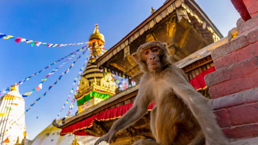 Kathmandu: Chandragiri Cable Car and Monkey Temple Tour - Chandragiri Cable Car to Swayambhunath: A Smart Kathmandu Pairing