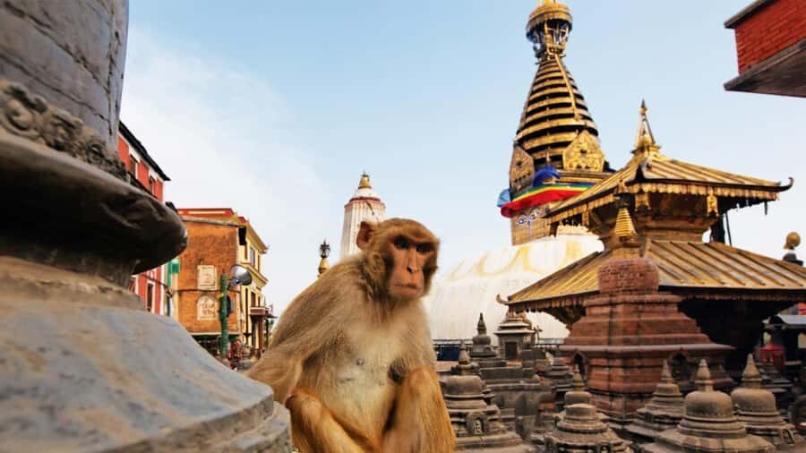 Kathmandu: Chandragiri Cable Car and Monkey Temple Tour - Zipline Add-On: When You Want the Thrill (Not a Must)