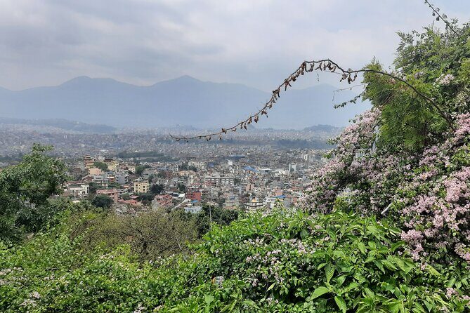 Kathmandu Chandrigiri Hill Cable Car & Monkey Temple UNESCO Tour - Price and value: what you pay now vs what you pay on the ground