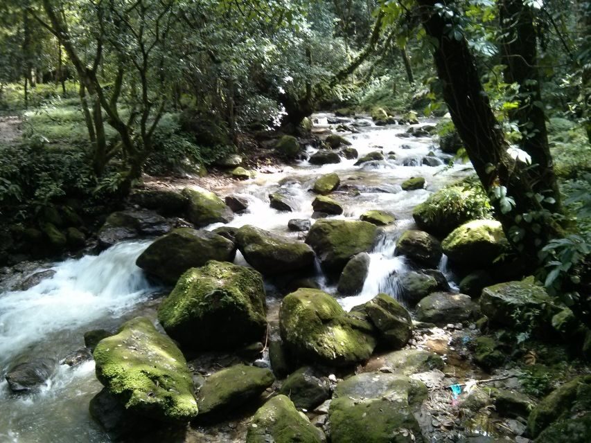 Kathmandu: Chisapani Nagarkot 3-Days 2-Nights Trek - Key things that make this trek worth it