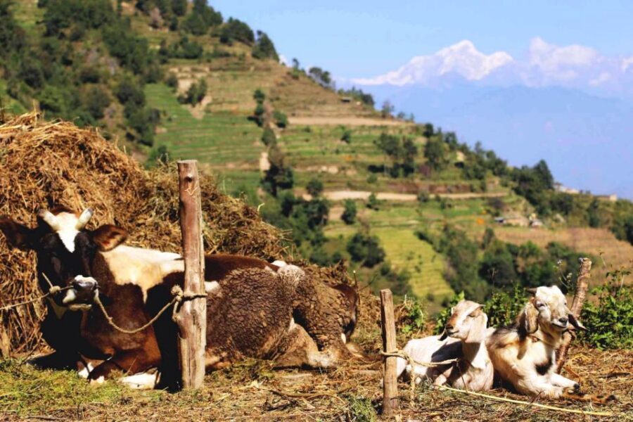Kathmandu: Chisapani Nagarkot 3-Days 2-Nights Trek - Weather is the boss: how to plan for clear Himalayas
