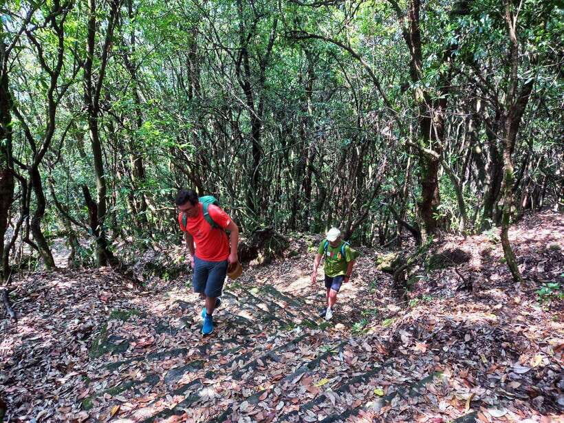 Kathmandu: Shivapuri Day Hike with Lunch - Private group and transport: smooth logistics that protect your time