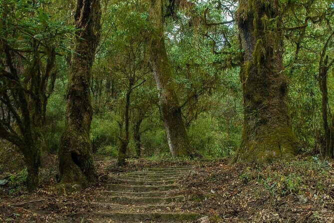 Kathmandu Shivapuri National Park and Nagarkot Hiking - 3 Days - Key Highlights You Should Not Miss