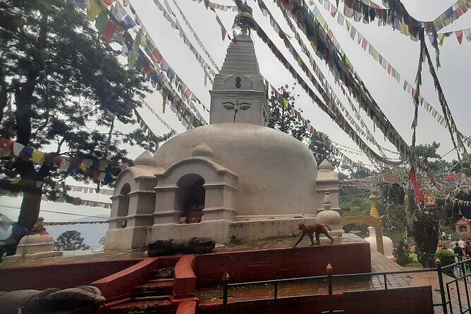 Kathmandu Top 4 or 2 UNESCO World Heritage Sites Day Tour - UNESCO World Heritage sites you cover in one day (and why it’s worth it)