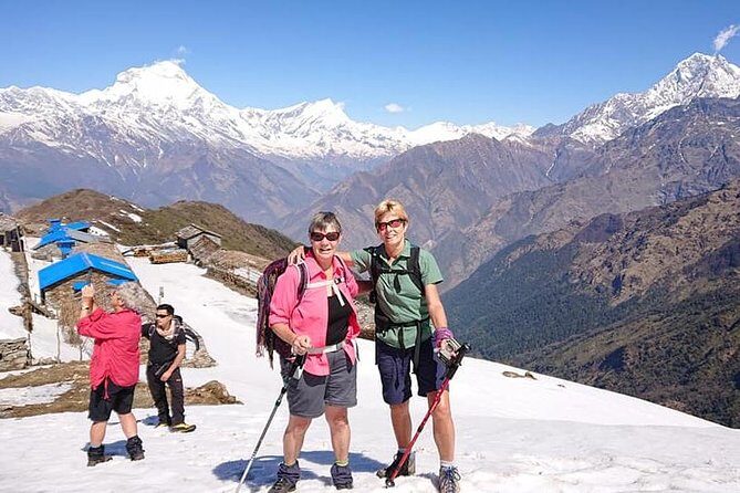Khopra Ridge Trek - Day 3 to Day 4: from Nayapul into Ghandruk and Tadapani’s rhododendron corridor