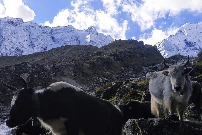 Manaslu Circuit Trek - Key things to know before you go