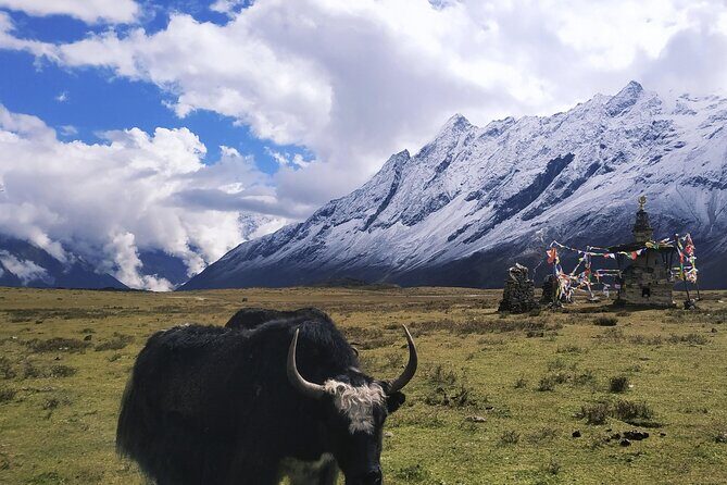 Manaslu Circuit Trek - MCAP meets ACAP: permits and what that means on the ground