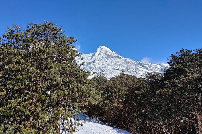Mardi Himal Trek - Why Mardi Himal Fits First-Time Trekkers (and Still Feels Serious)