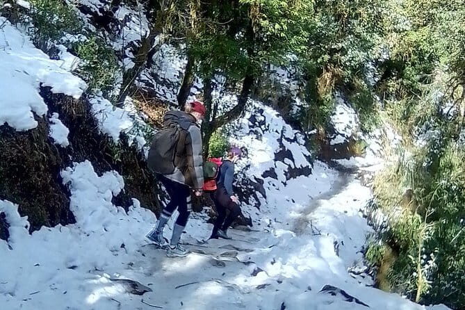 Mardi Himal Trek - The Route to Base Camp: Views Get Better, Then the Climb Turns Emotional