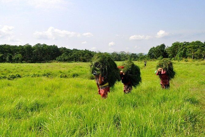 Millennium Homestay Trek - Gurunghe Hill day: long walks, steep bits, and mixed-ethnic culture
