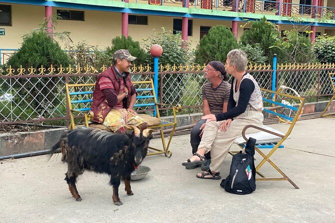 Morning Half Day Tibetan cultural tour to Tibetan Settlements - Jangchub Choeling Tibetan Monastery: morning prayer and sacred symbolism
