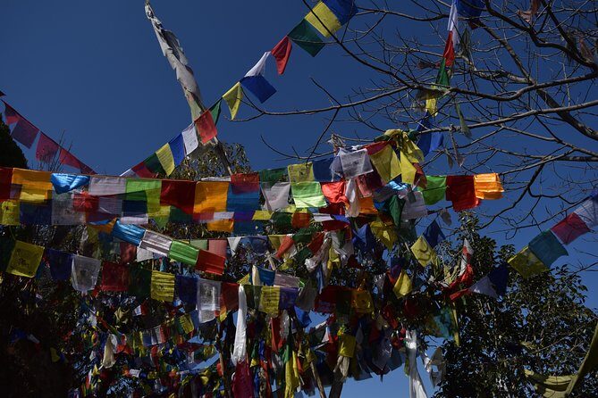 Namo Buddha and Thrangu Tashi Yangtse Monastery Half-Day Tour - Getting There: The 11:30am Start, Road Time, and Where You’ll Be Dropped