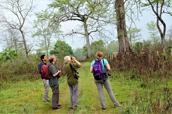 Nepal Birding - The hike part: active but not just a stroll in the woods
