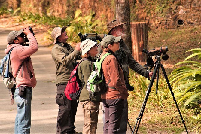 Nepal Birding - Should you book Nepal Birding for a day near Kathmandu?
