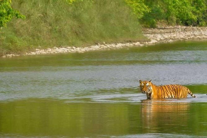 Nepal Classic Tour -12 Days - Chitwan full board days: canoeing crocs and a long jeep safari