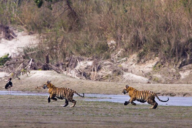 Nepal Classic Tour -12 Days - Day 1–3 in Kathmandu: UNESCO sites you can actually navigate