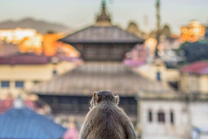 PashupatiNath and BoudhaNath - Private/Small Group - Gorakhnath Mandir and Guhyeshwari Shaktipeeth: The Road Turns Into a Lesson