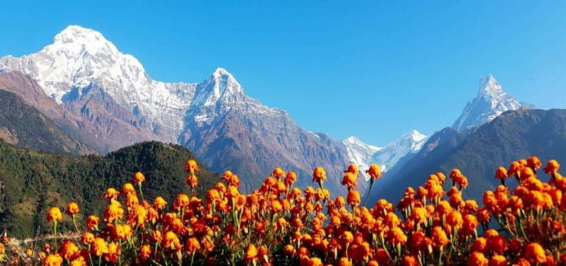 Pokhara: 4-Day Ghorepani, Poonhill & Ghandruk Mountain Trek - Day 1: From Nayapool to Ulleri for a smooth start and village warmth