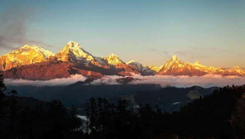 Pokhara: 4-Day Ghorepani, Poonhill & Ghandruk Mountain Trek - Day 2: Ghorepani and the rhododendron forest stretch