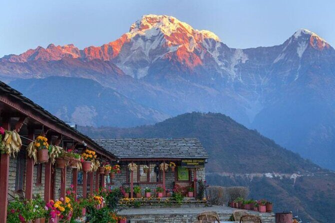 Pokhara: 4 Days Poon Hill and Ghandruk Trek - The real appeal of Poon Hill in just four days