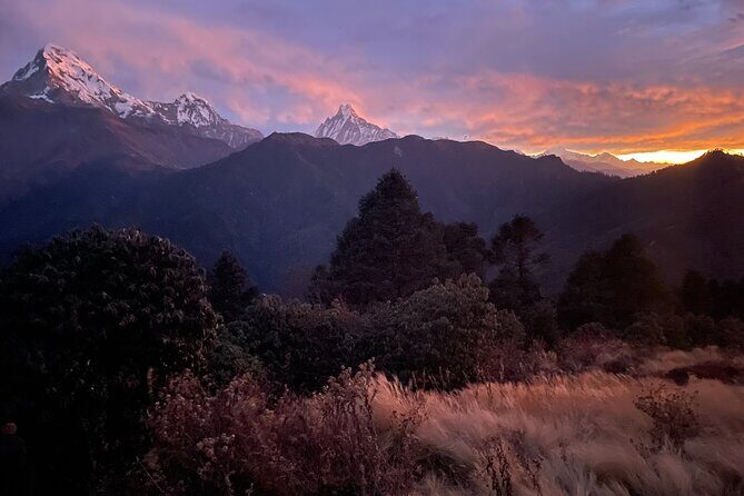 Pokhara: 4 Days Poon Hill and Ghandruk Trek - The pre-dawn Poon Hill climb: sunrise at 3210m