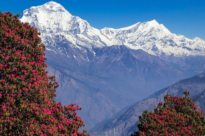Pokhara: 4 Days Poon Hill and Ghandruk Trek - Who should book this Poon Hill and Ghandruk itinerary