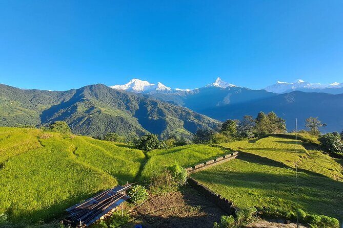 Pokhara: Easy Day Hike to Australian Camp & Dhampus Village - Dhampus Village: a short window into Gurung life and everyday trails